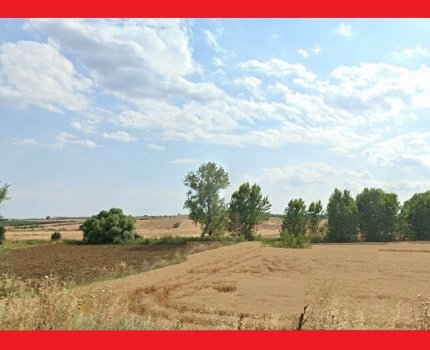 MALKARA HASKÖY'DE MERAYA CEPHE RESMİ YOLU MEVCUT 39.100M2 TEK TAPU