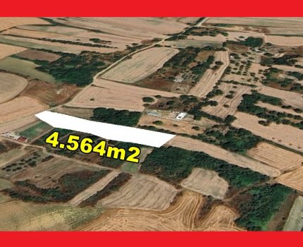 YUKARISEVİNDİKLİ MERKEZE YAKIN 4.564 m² TEK TAPU KADASTRO YOLLU